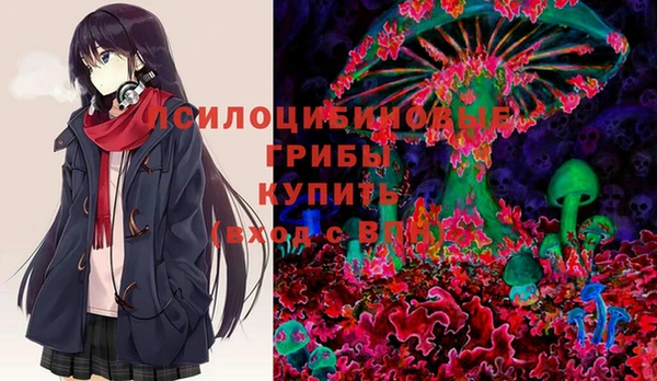 герыч Осинники