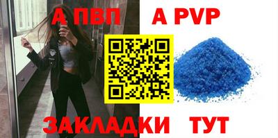 твердый Кингисепп