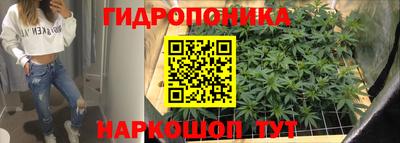 твердый Кингисепп