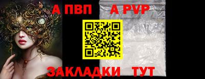 твердый Кингисепп