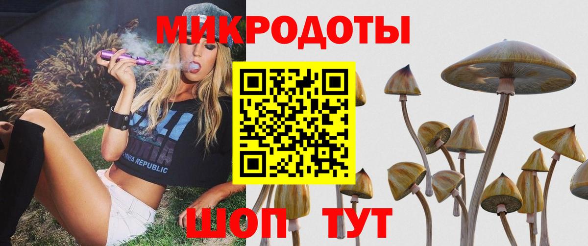 Серов  Псилоцибиновые грибы Psilocybe  Вход с VPN 