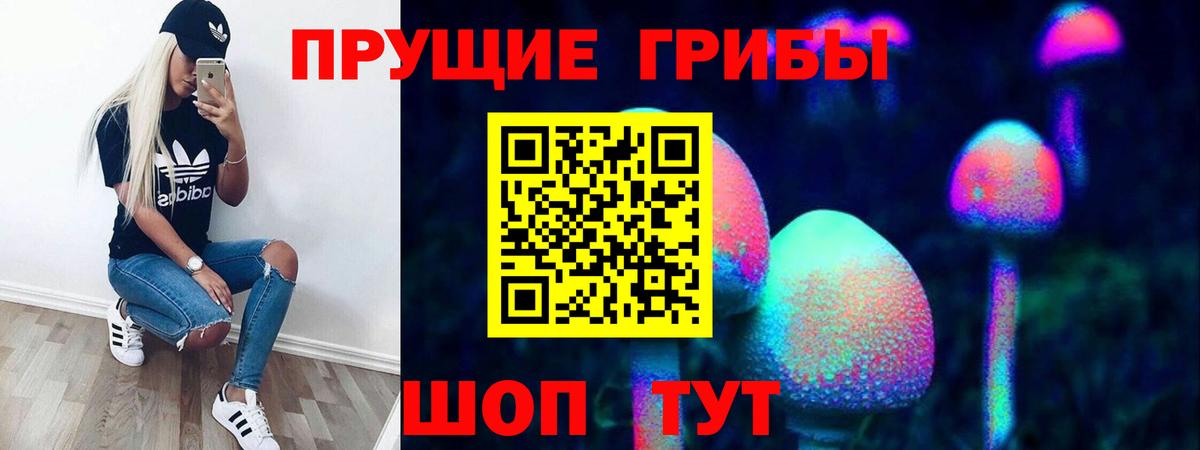 Галлюциногенные грибы Psilocybine cubensis Серов